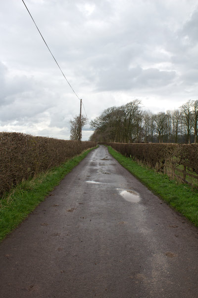 Wet rural road