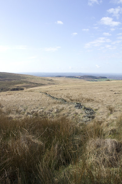 Moorland grass landscape