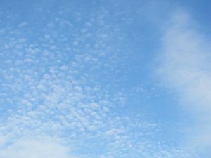 tiny cirrus clouds: tiny cirrus clouds