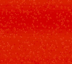 Bubbly Hintergrund Rot