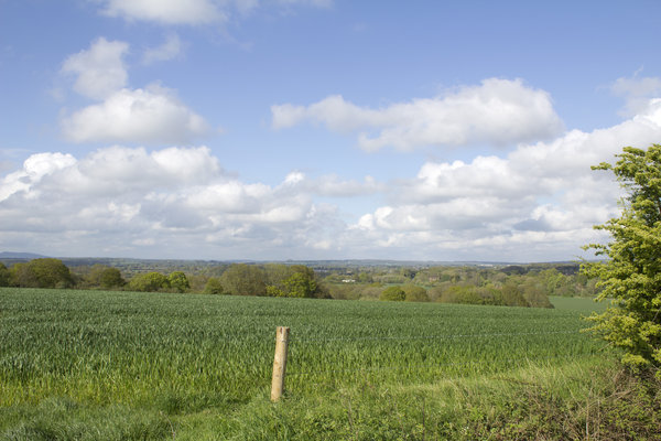 Spring landscape in England