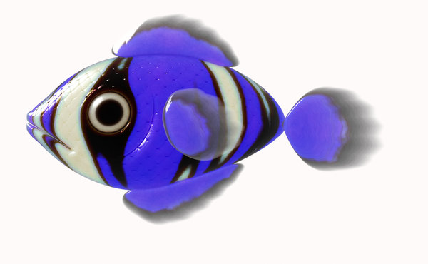 A Little Fish 4: A cute little 3d fish in cobalt blue, black, white and purple, against a white background.