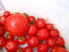 seau à tomates ( 5 )