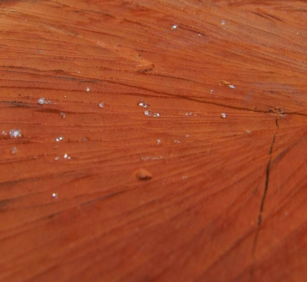 timber textures2