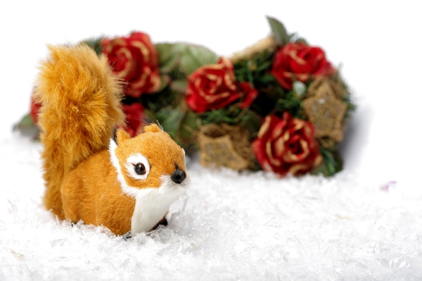 Squirrel in the snow: Teddy squirrel in snow with ornaments in the white background