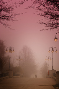 uma caminhada na névoa: 