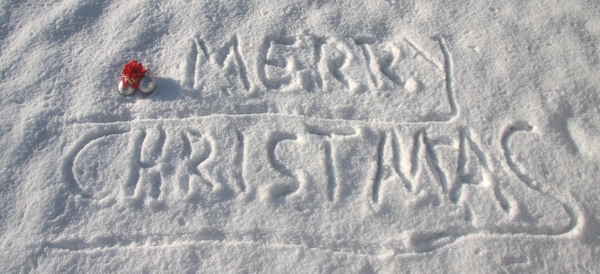 Merry Christmas: Written in the snow
