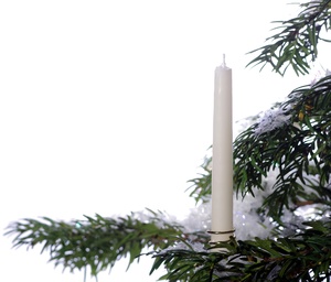 Candle on a christmas tree: Candle on a christmas tree wth snow