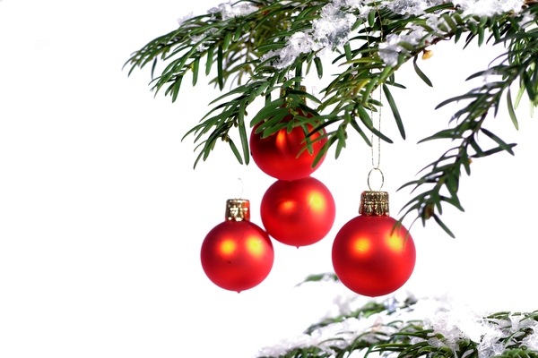 Christmas tree with ornaments: Christmas tree with four red decoration balls and snow on the branches. White background.