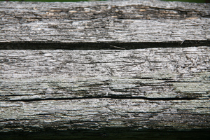 Weathered Wood: A closeup view of a piece of old weathered barnwood.