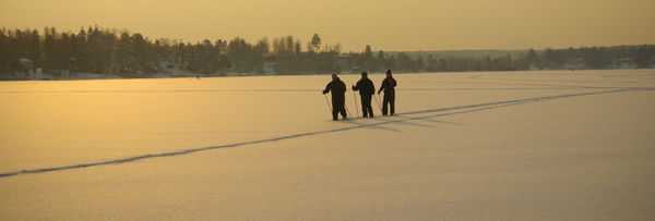 Nordic skiers on ice