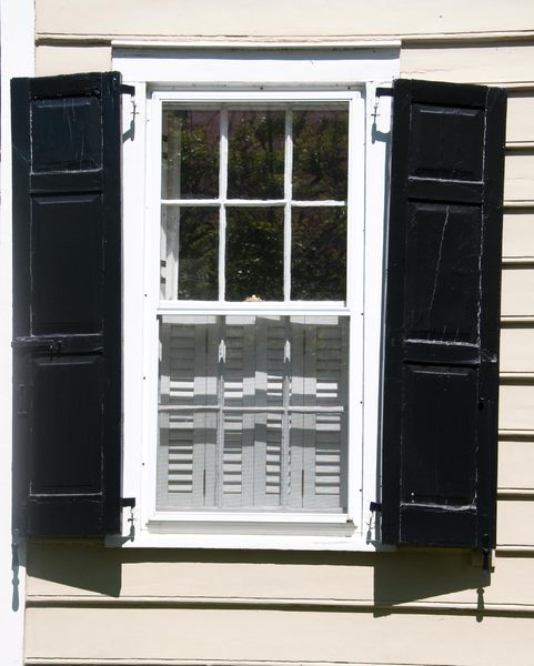 Windows of Charleston