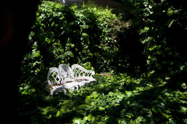 Love seat in the secret garden