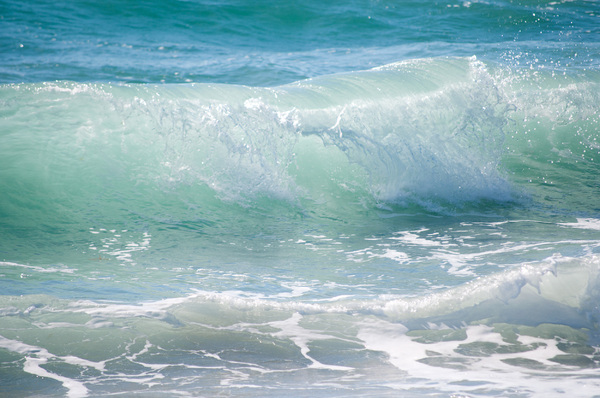 Ocean Waves: Surfing waves off the Southern Florida Coast,