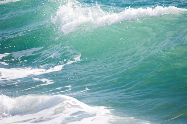 Tropical Ocean wave: Ocean wave off the coast of Florida