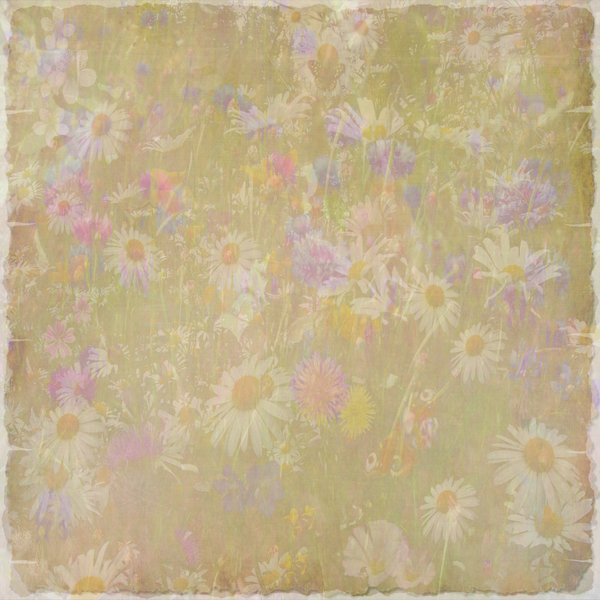 Wildflower Collage 2