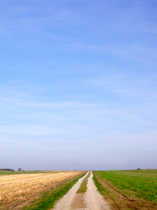 Simple Field Path: 