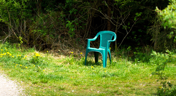 Plastic Chair in Forest