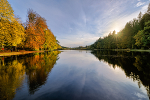 Lago en el bosque de otoño