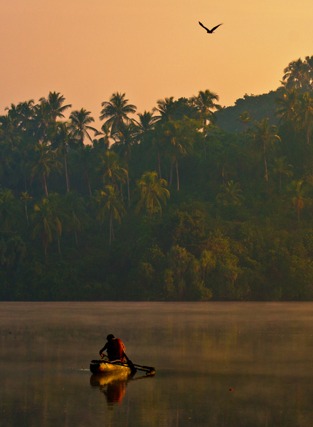 Fisherman in first Morning Lig: Fisherman with Canoe at Sunrise - Kumarakanda Lagoon, Sri Lanka. Eagle flying.