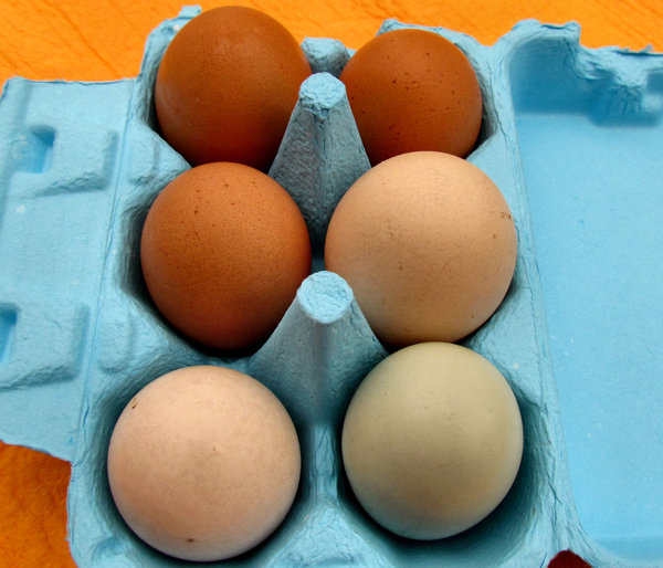 egg pack2