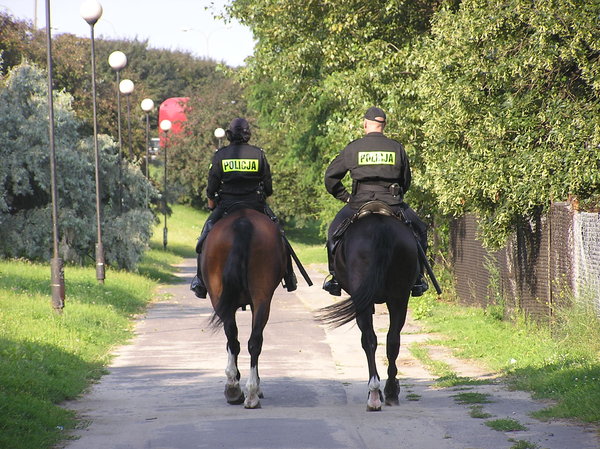 Horse police
