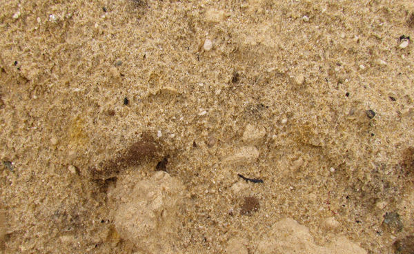 rain spattered sand1
