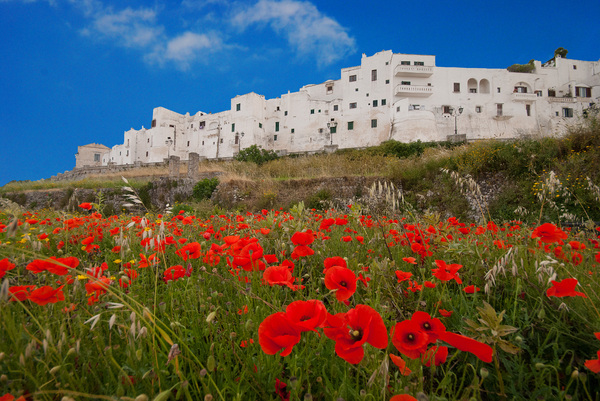 Beautiful city in Puglia Italy