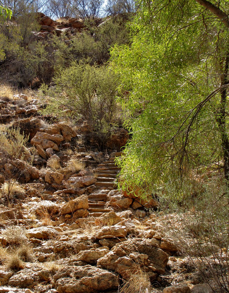 rocky outback steps2