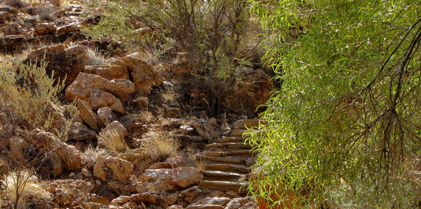 rocky outback steps3b