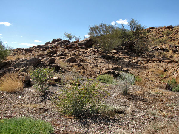 rocky terrain4