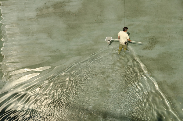 cleaning the pond