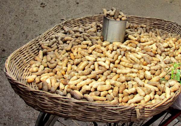 plenty of peanuts