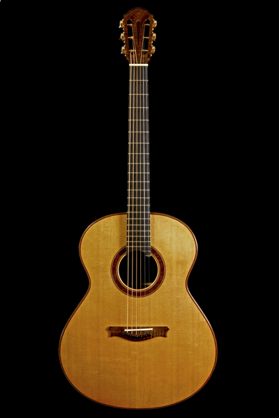 Custom Made Guitar No. 1