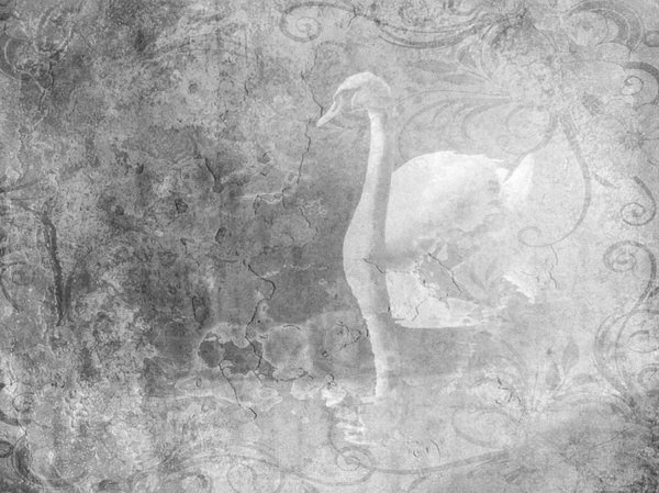 Fantasy Swan 2