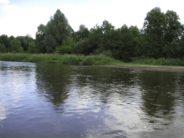River Liwiec