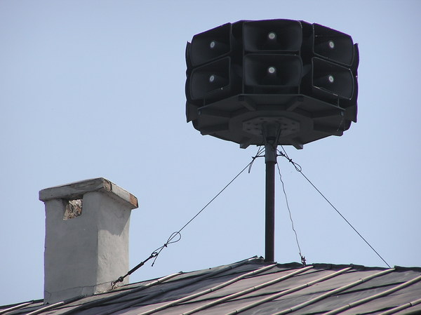 Roof speaker