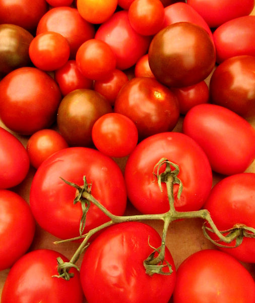 tomatoes - various2