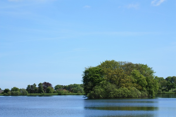 Island in a lake