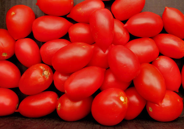 Italian tomatoes1