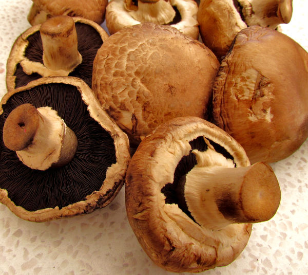 brown mushrooms3
