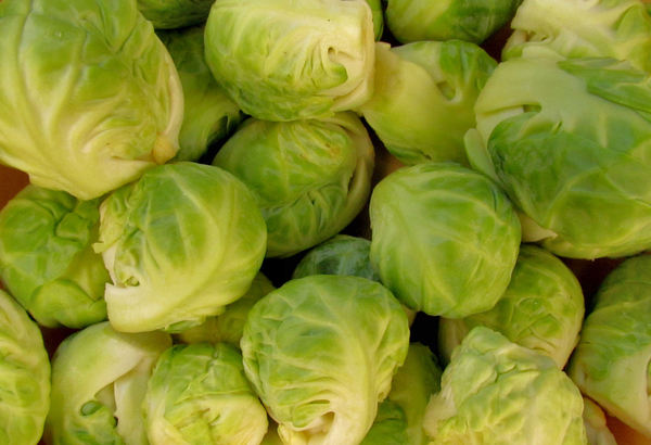 Brussels sprouts1