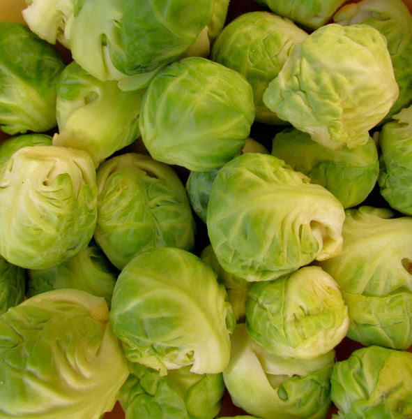Brussels sprouts3