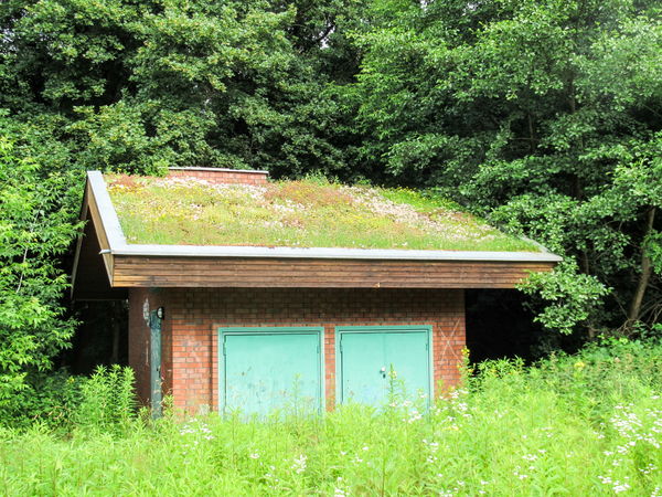 roof greening