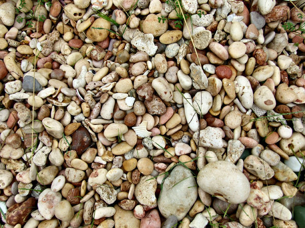 stones & shells1