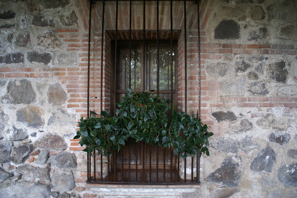colonial window