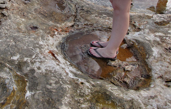 fossil footprints1