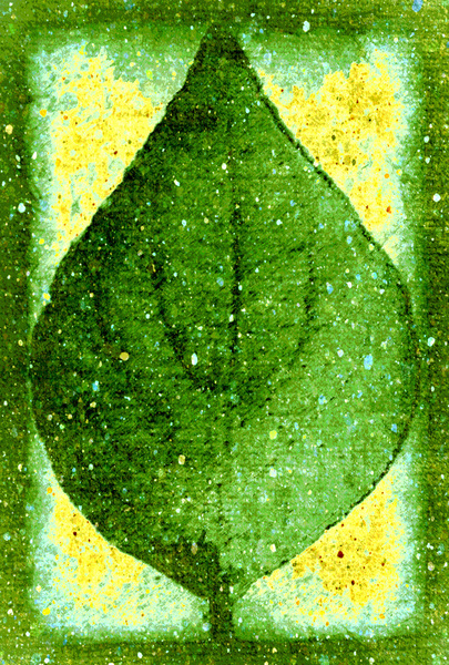 Leaf Texture 5