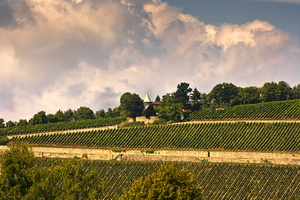 Wine ranks: Wine ranks in Germany