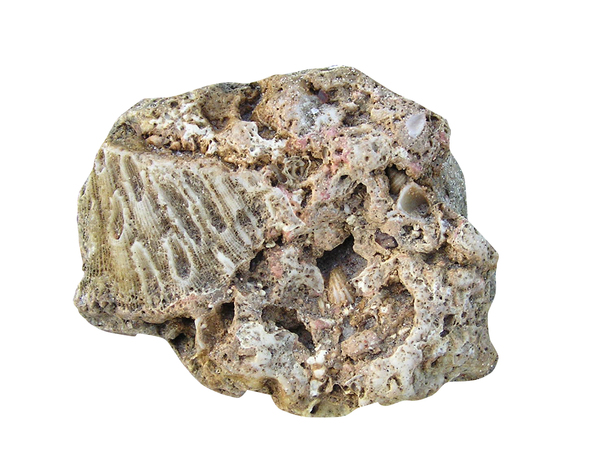 Reef stone